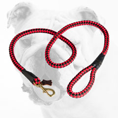 Cord Nylon Bulldog Leash with Strong Brass Snap Hook