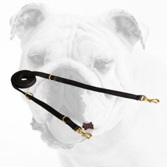 Multifunctional Nylon Bulldog Leash for Pleasant Walking
