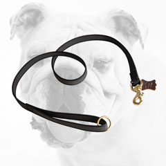Practical High Quality Training Nylon Bulldog Leash