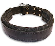 Leather dog collar with thick felt for all breeds - 1.5" width