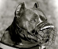 'The Silencer' Comfortable Wire Basket Bulldog Muzzle