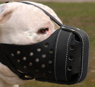 Durable Leather Bulldog Muzzle with Good Air Circulation