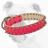 Spiked Pink Walking Leather Bulldog Collar