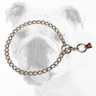 Stainless Steel Bulldog Choke Collar for Walking
