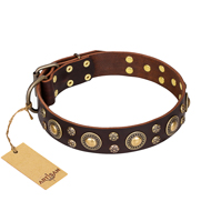 'Flower Melody' FDT Artisan Brown Leather Dog Collar with Mixed Studs for Bulldog Breeds Daily Use