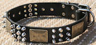 Best Spiked Leather Dog Collar-brass massive plates&spike