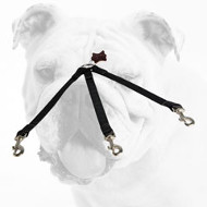 All Weather Triple Nylon Bulldog Coupler