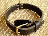 Two ply leather agitation dog collar- no handle-C33NH