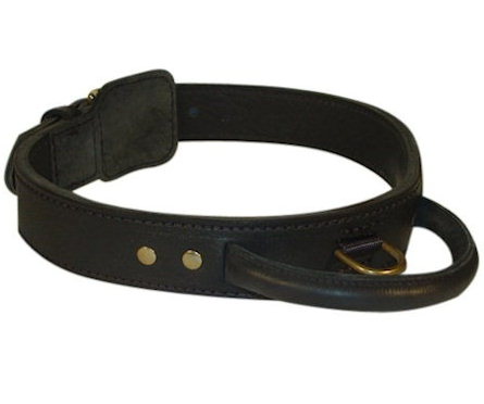 leather dog collar with handle for BUlldogs