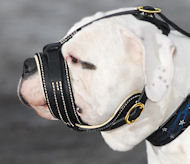 Alapaha Bulldog Royal Nappa Leather Anti Barking Muzzle