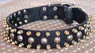 Three Rows with brass Leather Spikes and Studded Dog Collar S57