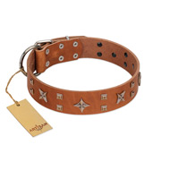"Dreamy Gleam" FDT Artisan Tan Leather Bulldog Collar Adorned with Stars and Squares