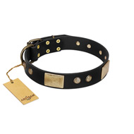 "Antique Gloss" FDT Artisan Black Leather Bulldog Collar with Bronze-like Plates and Small Studs