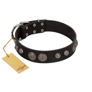 "Tricky Ricky" FDT Artisan Black Leather Bulldog Collar Adorned with Silver-Like Conchos
