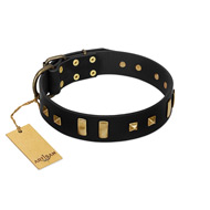 "Fit for Royalty" FDT Artisan Black Leather Bulldog Collar with Plates and Small Square Studs