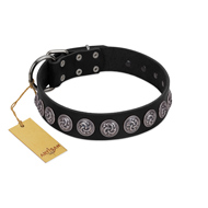 "Black Raven" Handmade FDT Artisan Black Leather Bulldog Collar with Silver-Like Adornments