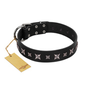"Polar Lights" Designer FDT Artisan Black Leather Bulldog Collar with Silver-Like Studs