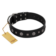 "Mr. Elegance" Designer FDT Artisan Black Leather Bulldog Collar with Silver-Like Studs
