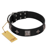 "Black Cavalier" Handmade FDT Artisan Black Leather Bulldog Collar with Silver-Like Stars and Large Plates