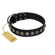 "Black Eagle" Handcrafted FDT Artisan Black Leather Bulldog Collar with Silver-Like Adornments