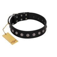 "Silver Flower" Exclusive FDT Artisan Black Leather Bulldog Collar with Silver-Like Studs