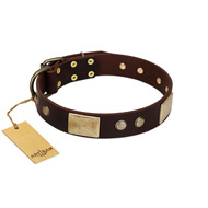 "Middle Age" FDT Artisan Brown Leather Bulldog Collar with Old Bronze-Plated Engraved Flowers and Large Plates