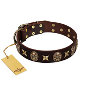 "Captain Hook" FDT Artisan Brown Leather Bulldog Collar with Stars and Skulls
