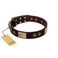 "Bow-Wow Effect" FDT Artisan Brown Leather Bulldog Collar with Plates and Ornate Studs