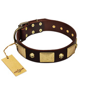 "Heavy Metal" FDT Artisan Brown Leather Bulldog Collar with Old Bronze-like Skulls and Plates