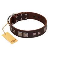 "Object of Virtu" FDT Artisan Brown Leather Bulldog Collar with Old Silver-like Square Studs and Pyramids