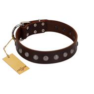 "Spring Flower" Stylish FDT Artisan Brown Leather Bulldog Collar for Comfy Walks
