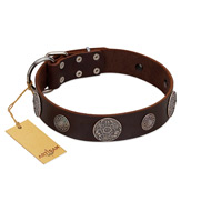 "Flashy Woof" FDT Artisan Brown Leather Bulldog Collar with Chrome Plated Brooches