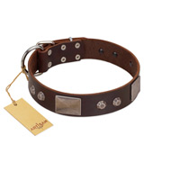 "Stone Stars" Stylish Handmade FDT Artisan Brown Leather Bulldog Collar