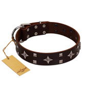 "Trendy Candy" FDT Artisan Brown Leather Bulldog Collar Adorned with Stars and Tiny Squares