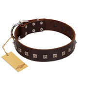 "Kingly Grace" FDT Artisan Brown Leather Bulldog Collar with Silver-like Dotted Studs