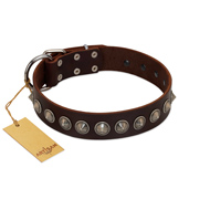 "Gothic Style" FDT Artisan Fancy Brown Leather Bulldog Collar with Silver-Like Decorations