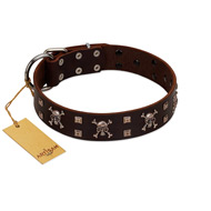 "Menacing Allure" FDT Artisan Brown Leather Bulldog Collar Embellished with Silvery Crossbones and Square Studs