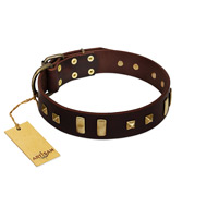 "Choco Delight" FDT Artisan Brown Leather Bulldog Collar with Old Bronze-like Plates and Studs