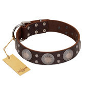 "Imperial Legate" FDT Artisan Brown Leather Bulldog Collar with Big Round Plates