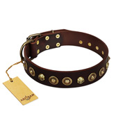 "Street Fashion" FDT Artisan Brown Leather Bulldog Collar Adorned with Circles and Skulls