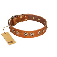 "Precious Relic" FDT Artisan Tan Leather Bulldog Collar Adorned with Old Bronze Look Studs