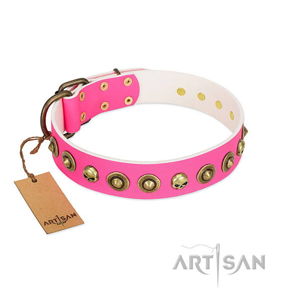 Natural leather collar with stylish design embellishments for your canine