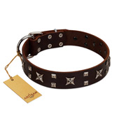 "Bigwig Woof" FDT Artisan Brown Leather Bulldog Collar with Chrome Plated Stars and Square Studs