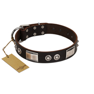 "Baller Status" FDT Artisan Brown Leather Bulldog Collar Adorned with a Set of Chrome Plated Studs and Plates