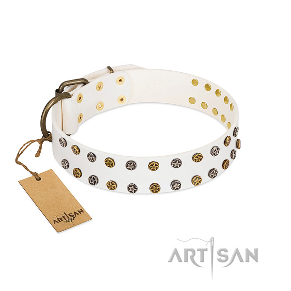 Exquisite leather dog collar with reliable embellishments