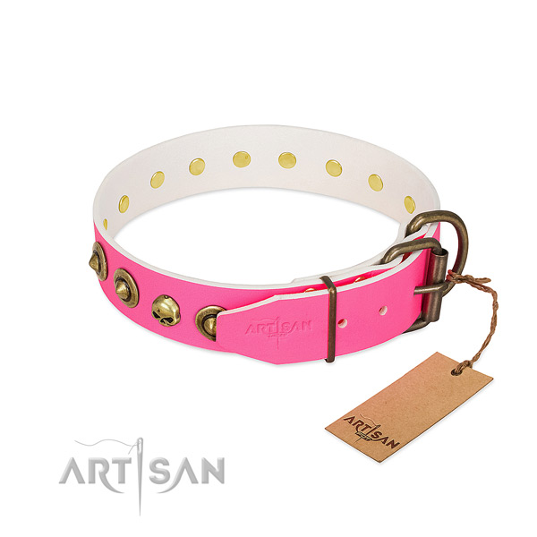 Natural leather collar with incredible studs for your four-legged friend