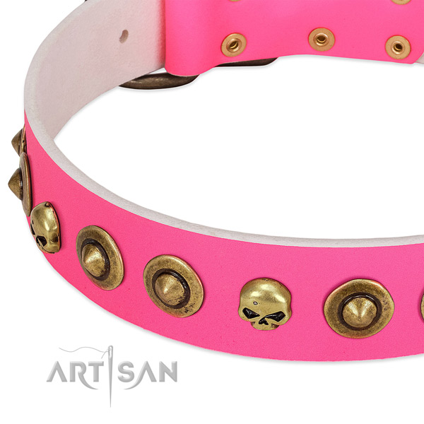 Stylish adornments on genuine leather collar for your four-legged friend