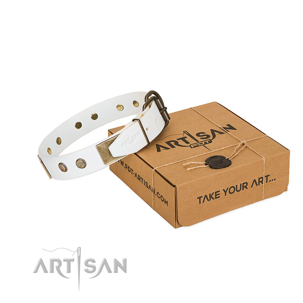 Rust resistant traditional buckle on dog collar for easy wearing