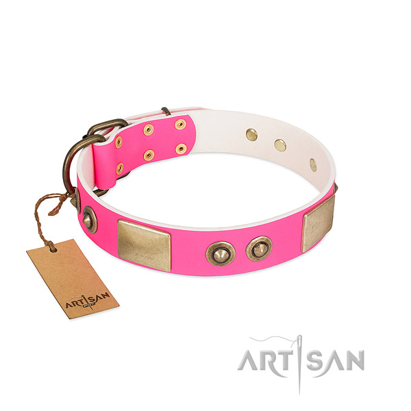 Corrosion resistant studs on full grain natural leather dog collar for your pet