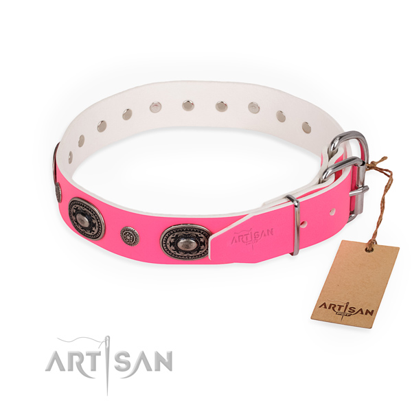 Comfy wearing top notch dog collar with durable fittings